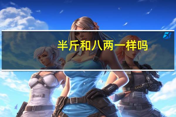 半斤和八两一样吗