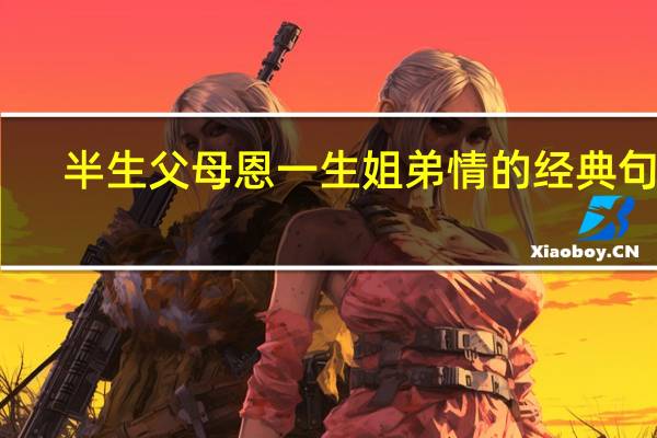 半生父母恩一生姐弟情的经典句子