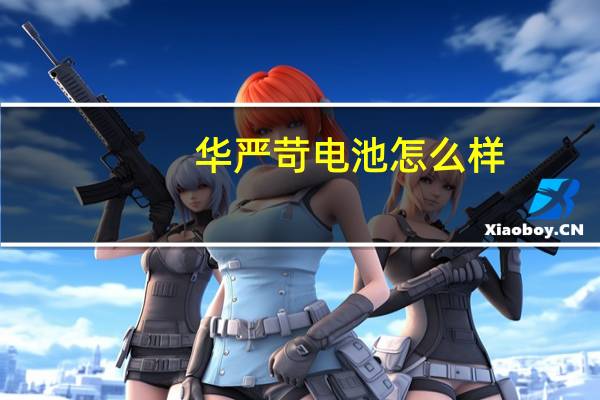 华严苛电池怎么样