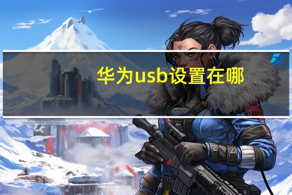 华为usb设置在哪