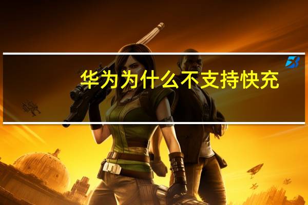 华为为什么不支持快充
