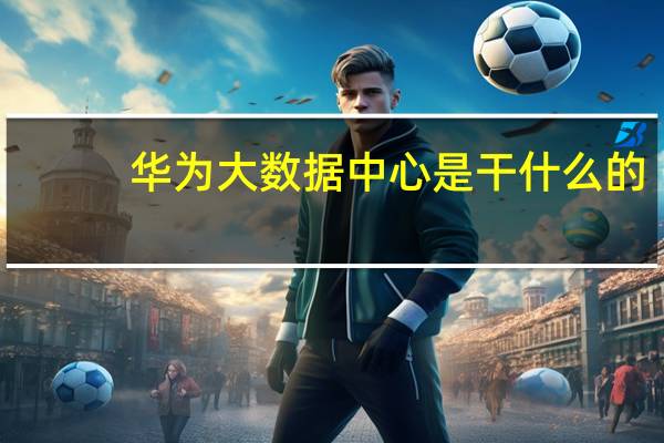 华为大数据中心是干什么的