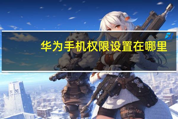 华为手机权限设置在哪里