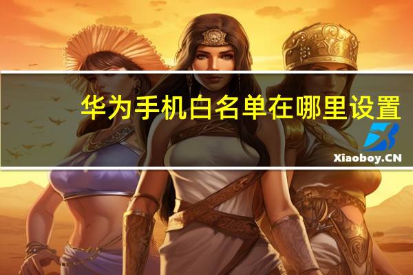 华为手机白名单在哪里设置