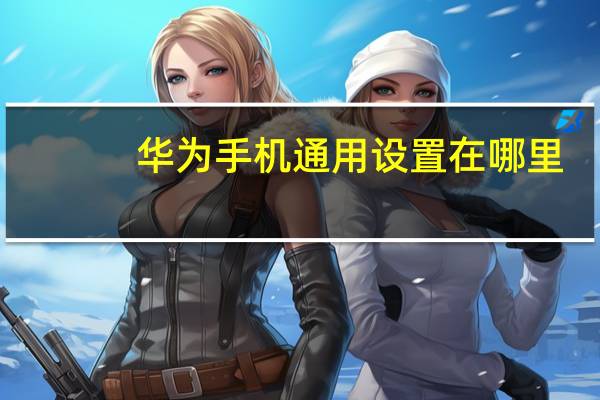 华为手机通用设置在哪里