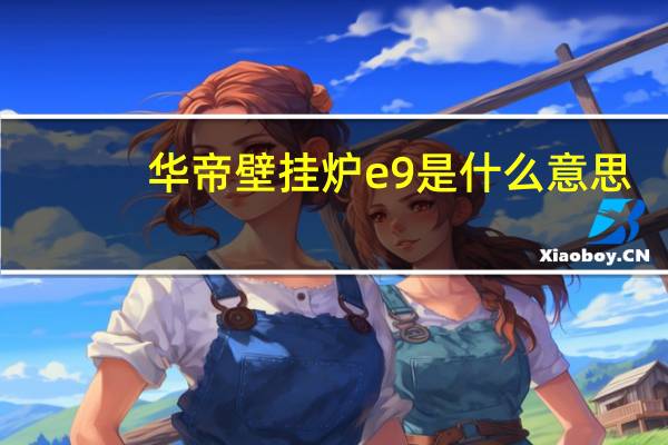 华帝壁挂炉e9是什么意思