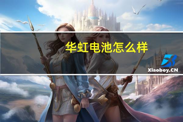 华虹电池怎么样