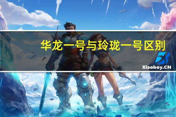 华龙一号与玲珑一号区别