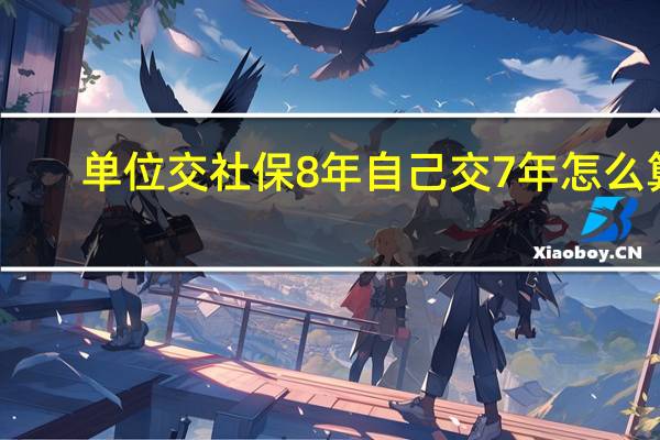 单位交社保8年自己交7年怎么算