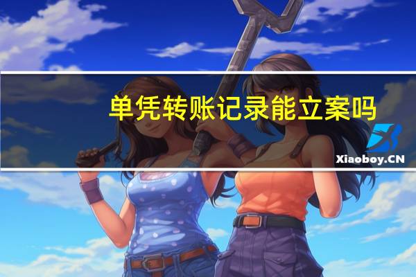 单凭转账记录能立案吗