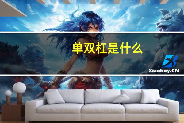 单双杠是什么
