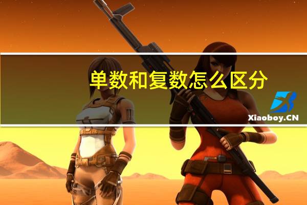 单数和复数怎么区分