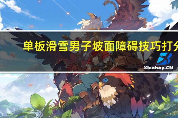 单板滑雪男子坡面障碍技巧打分