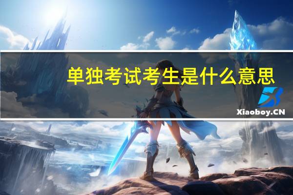 单独考试考生是什么意思