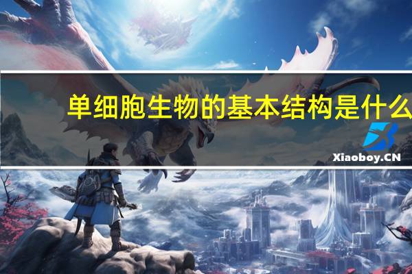 单细胞生物的基本结构是什么