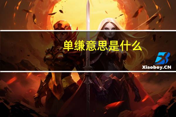 单缣意思是什么