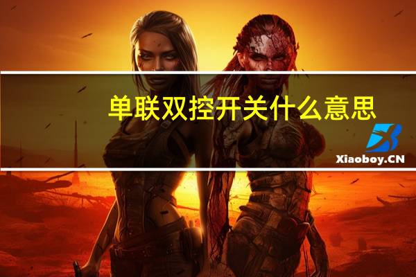 单联双控开关什么意思