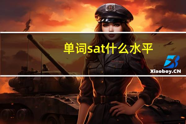 单词sat什么水平