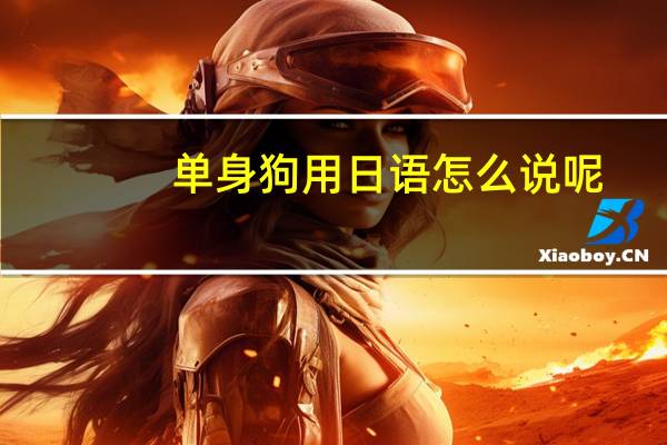 单身狗用日语怎么说呢