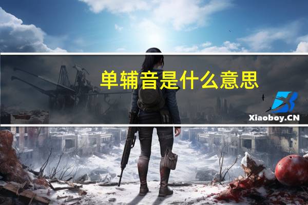 单辅音是什么意思