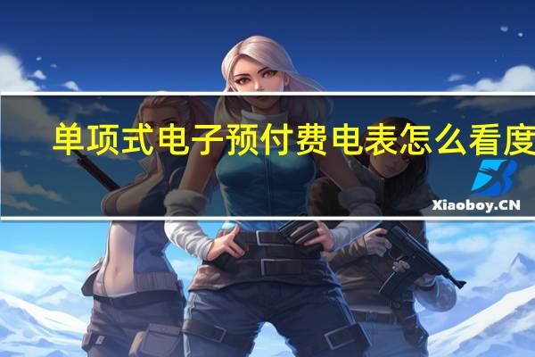 单项式电子预付费电表怎么看度数