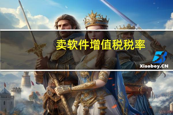 卖软件增值税税率