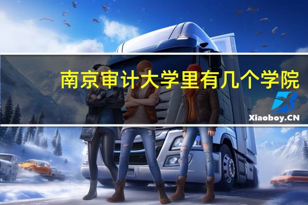 南京审计大学里有几个学院