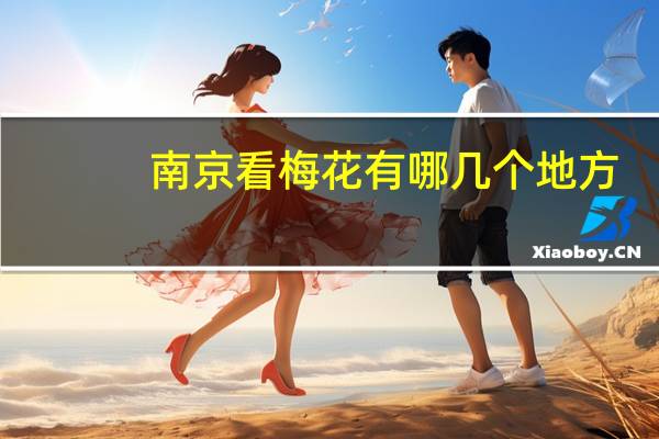 南京看梅花有哪几个地方
