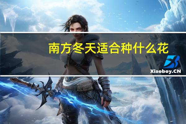 南方冬天适合种什么花