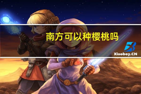 南方可以种樱桃吗