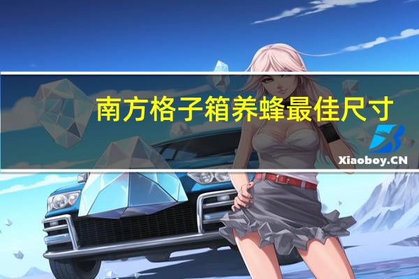 南方格子箱养蜂最佳尺寸