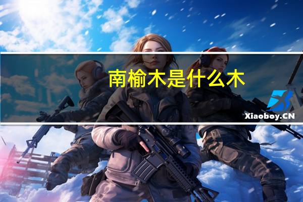 南榆木是什么木