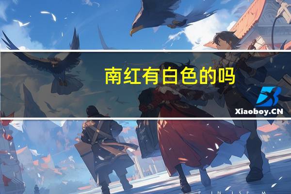 南红有白色的吗