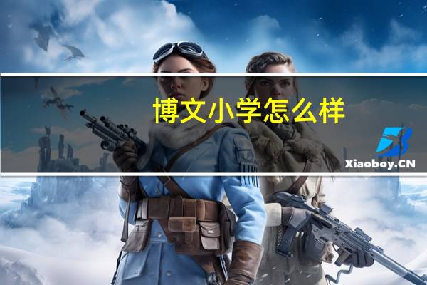 博文小学怎么样