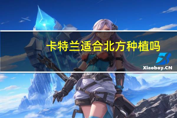 卡特兰适合北方种植吗