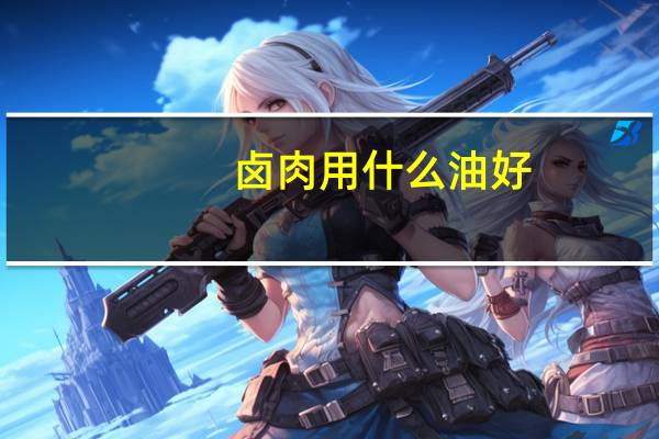 卤肉用什么油好