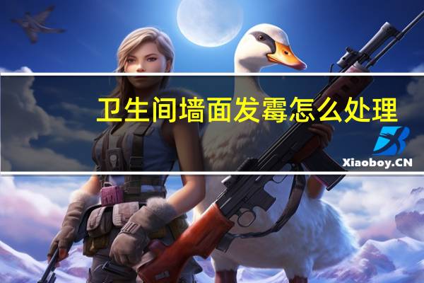 卫生间墙面发霉怎么处理