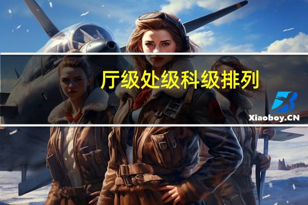 厅级 处级 科级 排列