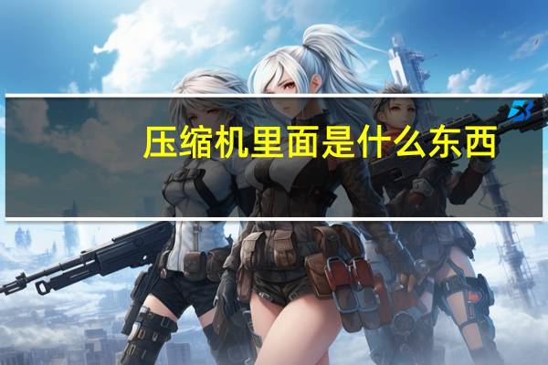 压缩机里面是什么东西