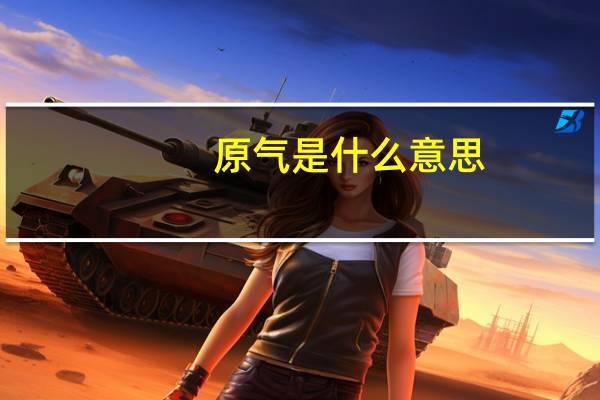 原气是什么意思