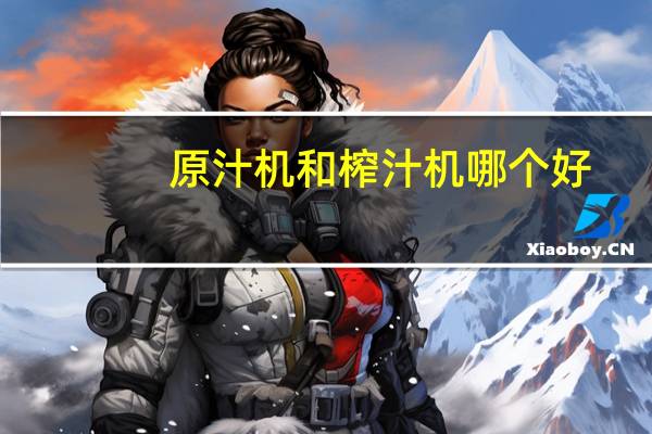 原汁机和榨汁机哪个好