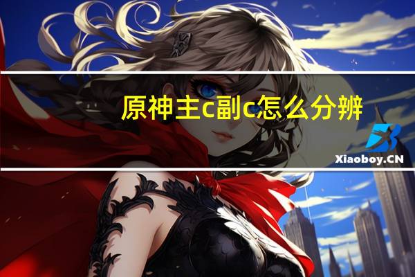 原神主c副c怎么分辨