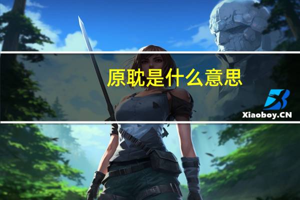 原耽是什么意思
