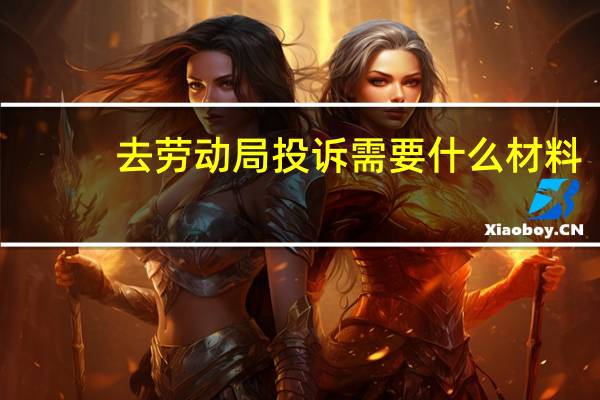 去劳动局投诉需要什么材料