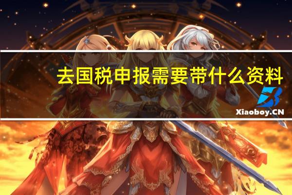 去国税申报需要带什么资料