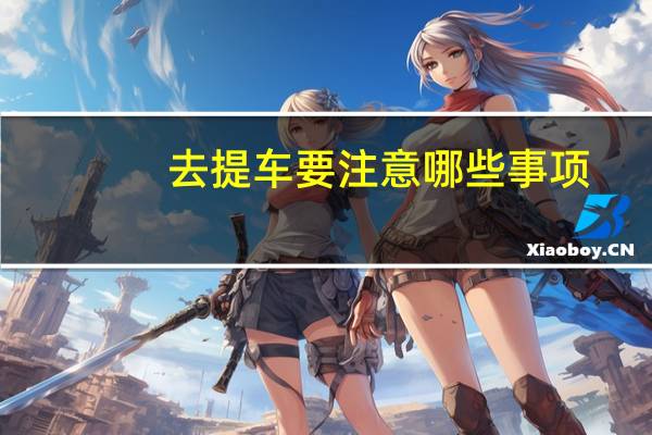 去提车要注意哪些事项