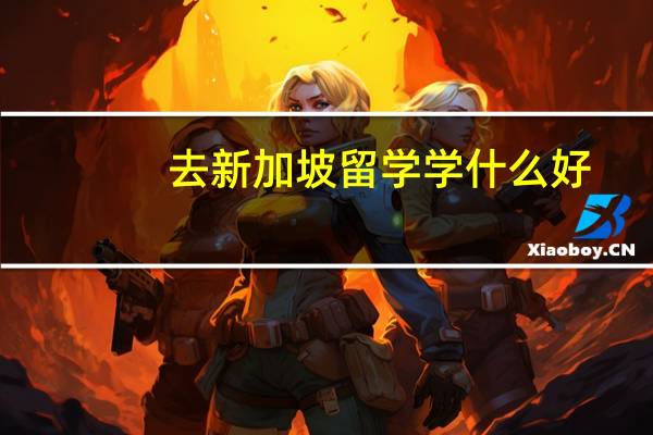 去新加坡留学学什么好