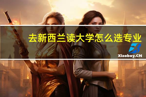 去新西兰读大学怎么选专业