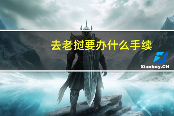 去老挝要办什么手续