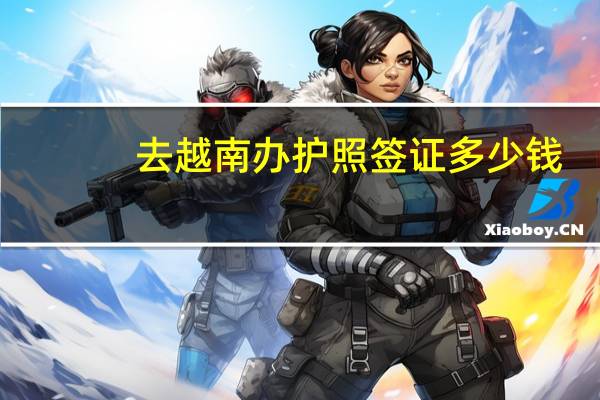 去越南办护照签证多少钱